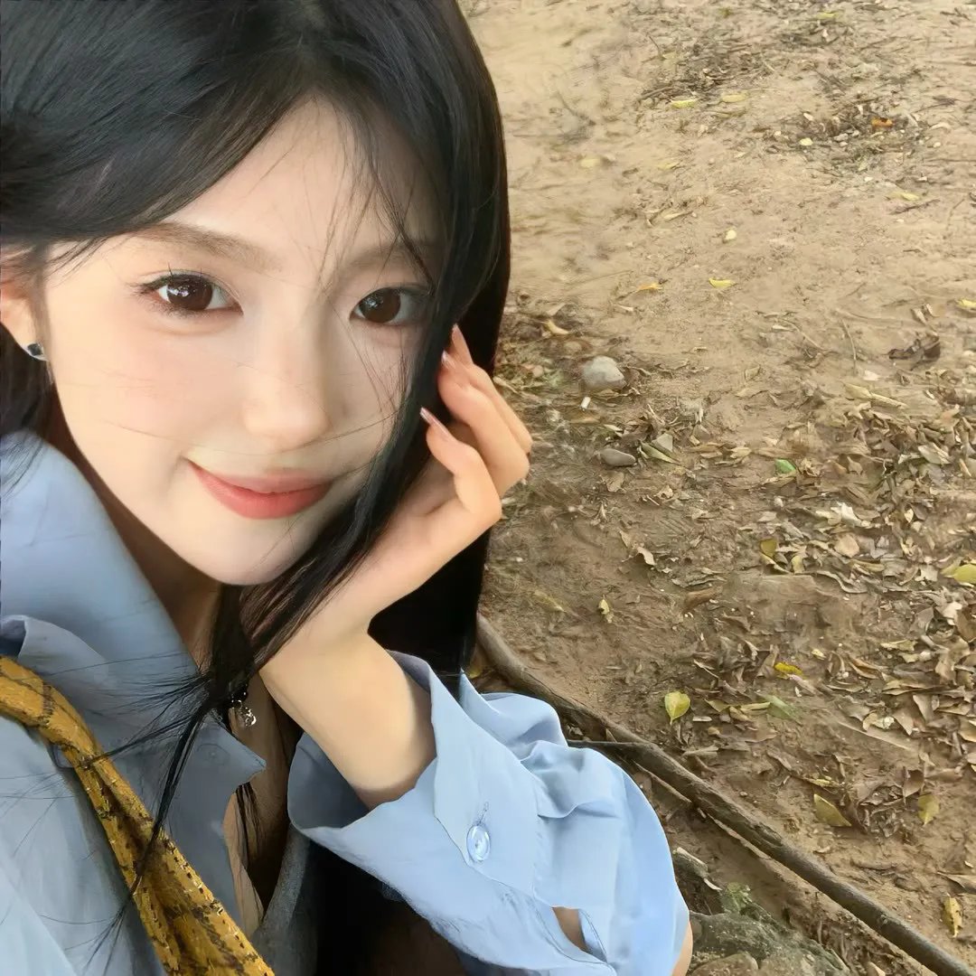 雏菊