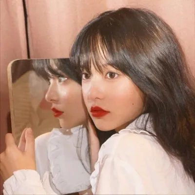 狗狗与我的十个约定