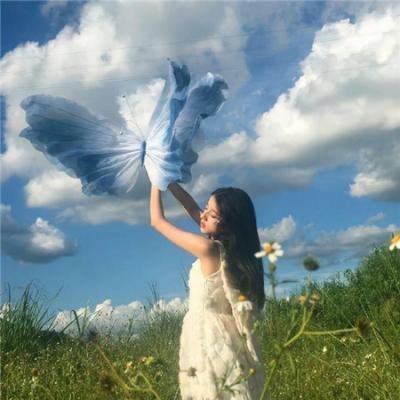 秦时明月之沧海横流
